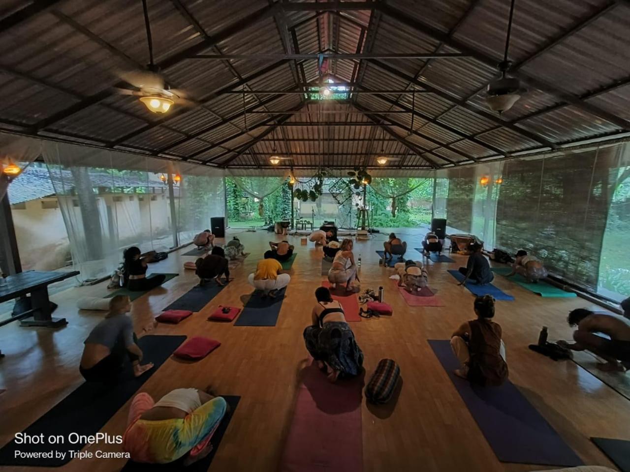 Satori Wellness Cottages I Yoga, Sauna, Ice Bath, Holistic Therapies & More 만드렘 외부 사진